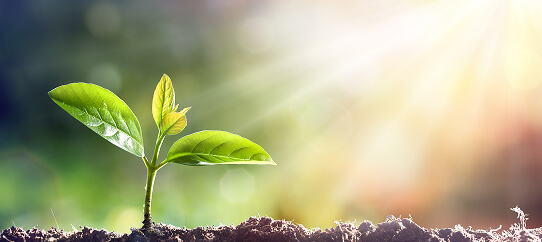 achieve-sustainability-goals-1