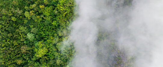 reduce-carbon-emissions